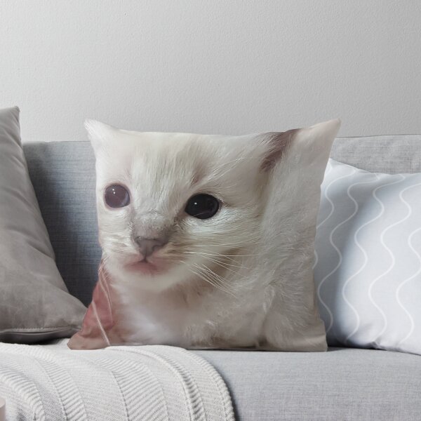 Item preview, Baby ragdoll kitten designed and sold by Fluffycat2020.