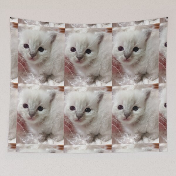 Item preview, Baby ragdoll kitten designed and sold by Fluffycat2020.