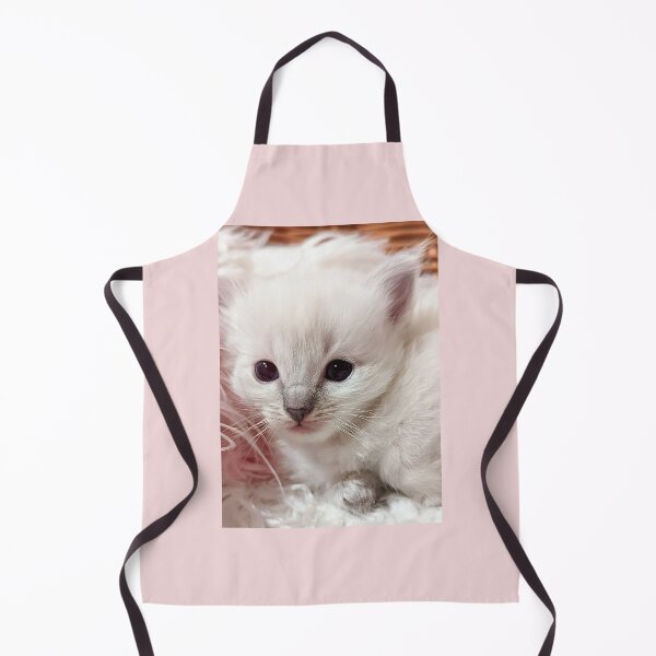 Item preview, Baby ragdoll kitten designed and sold by Fluffycat2020.