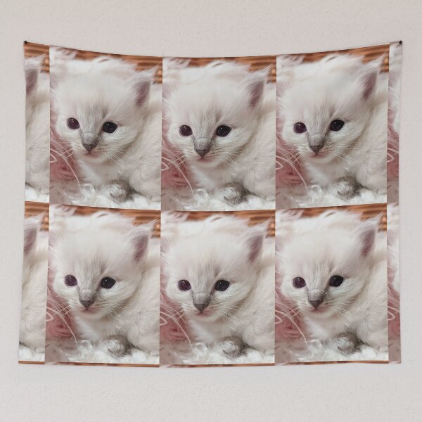 Item preview, Baby ragdoll kitten designed and sold by Fluffycat2020.
