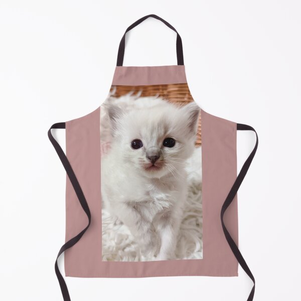 Item preview, Baby ragdoll kitten designed and sold by Fluffycat2020.