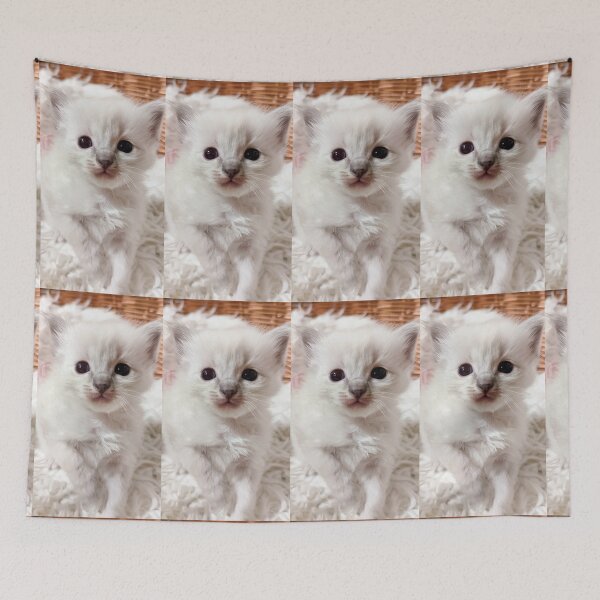 Item preview, Baby ragdoll kitten designed and sold by Fluffycat2020.