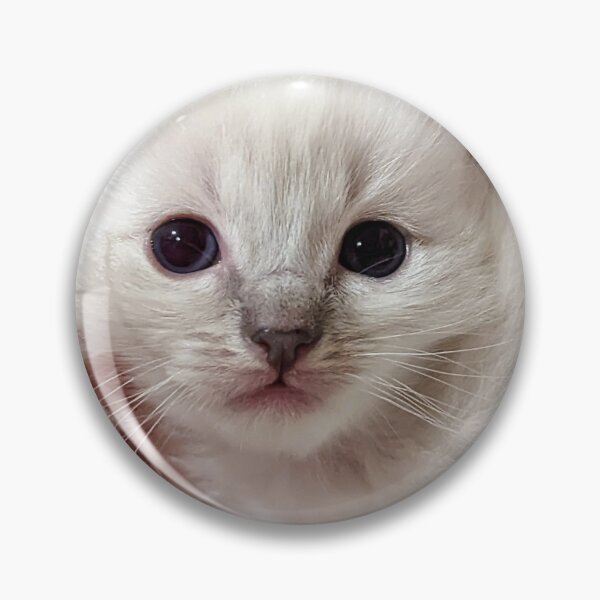 Item preview, Baby ragdoll kitten designed and sold by Fluffycat2020.