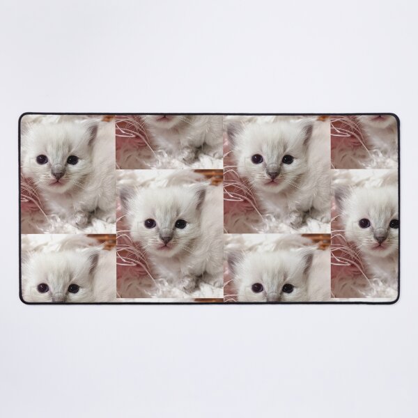 Item preview, Baby ragdoll kitten designed and sold by Fluffycat2020.