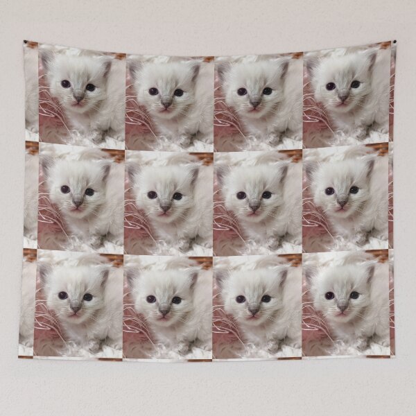Item preview, Baby ragdoll kitten designed and sold by Fluffycat2020.