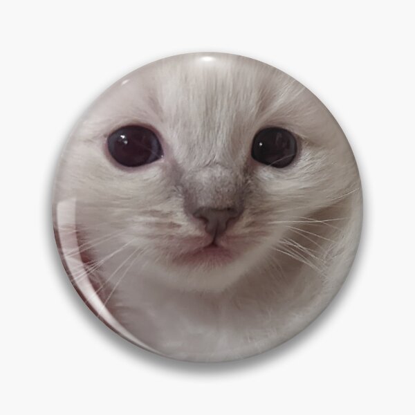 Item preview, Baby ragdoll kitten designed and sold by Fluffycat2020.
