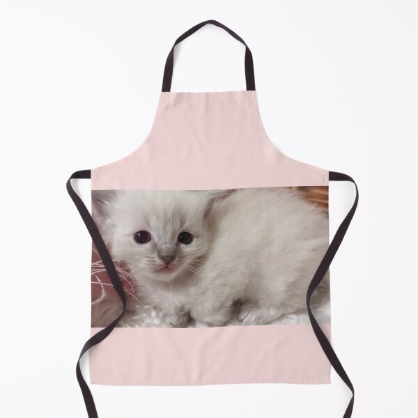Item preview, Baby ragdoll kitten designed and sold by Fluffycat2020.