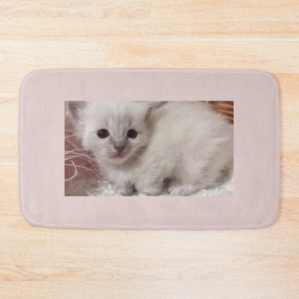 Item preview, Baby ragdoll kitten designed and sold by Fluffycat2020.
