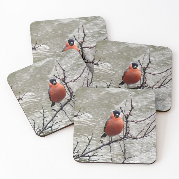 Item preview, Bullfinch designed and sold by KathleenDawson.