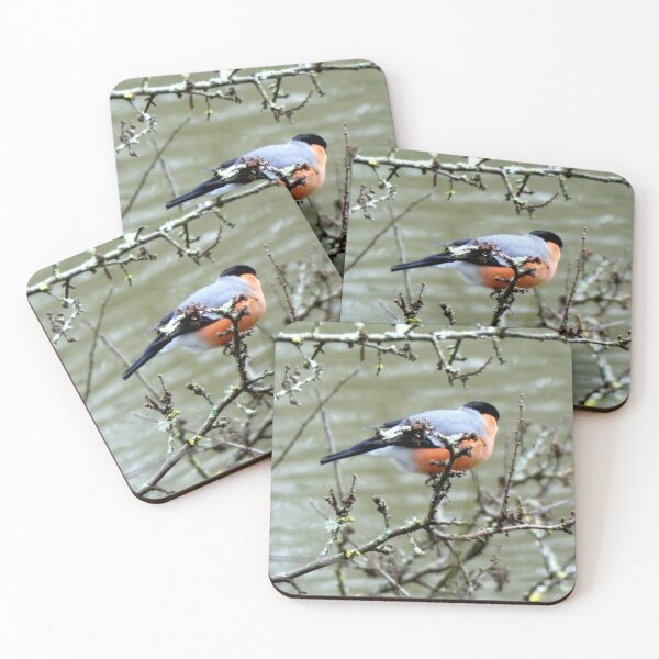 Item preview, Bullfinch designed and sold by KathleenDawson.