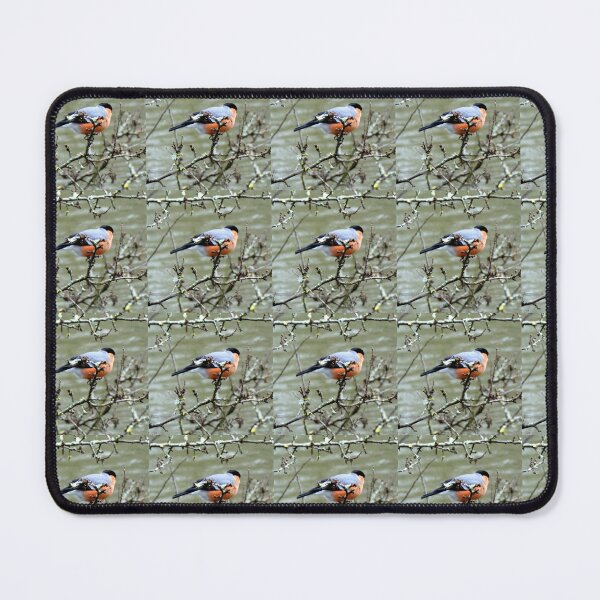 Item preview, Bullfinch designed and sold by KathleenDawson.