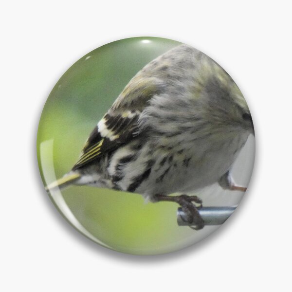 Item preview, siskin designed and sold by KathleenDawson.