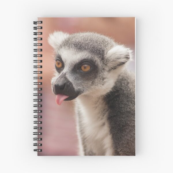Item preview, Ring-tailed lemur close-up designed and sold by lucyschagen.