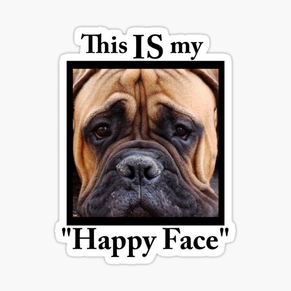 Funny bullmastiff hot sale