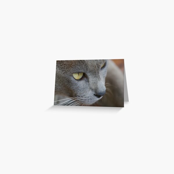 Burmese Greeting Card