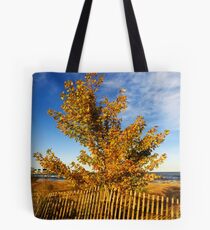 Sheldon Marsh - Autumn Beach Tote Bag