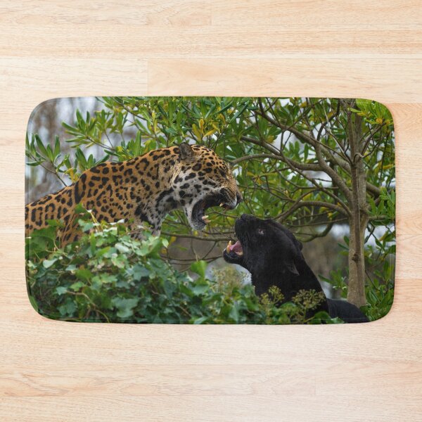 Item preview, Jaguar Catfight designed and sold by rawshutterbug.