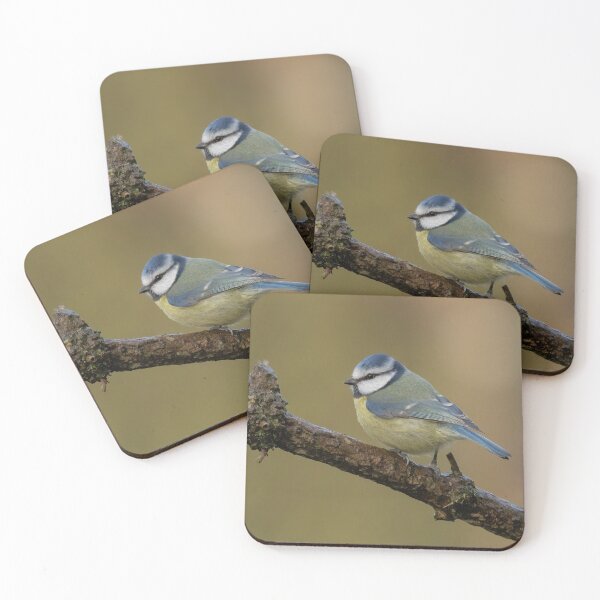 Item preview, Blue tit perching designed and sold by JLP ARTWORKS.