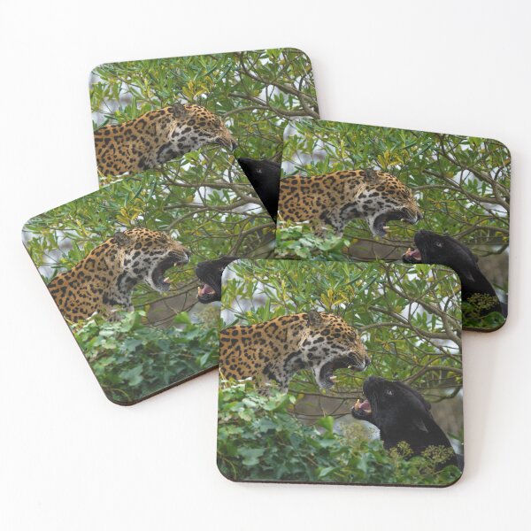 Item preview, Jaguar Catfight designed and sold by rawshutterbug.