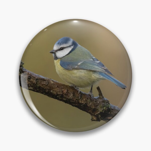 Item preview, Blue tit perching designed and sold by JLP ARTWORKS.
