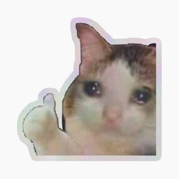 500pcs Cat Meme Sticker Roll, 10 Styles Autocollants De Chat