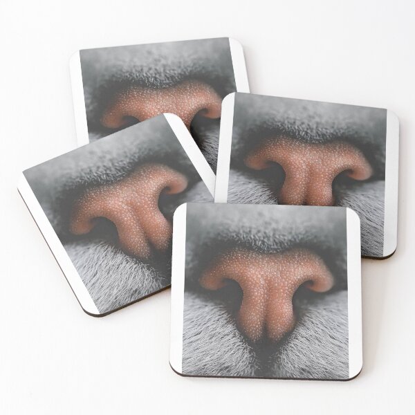 Item preview, cate nose cute | kawaii cat designed and sold by jassine11.
