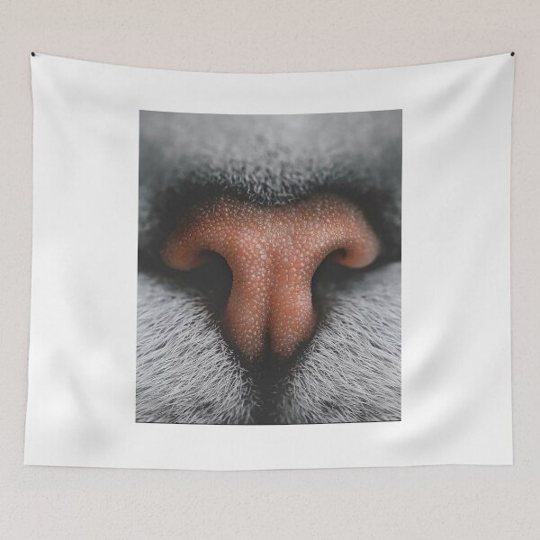 Item preview, cate nose cute | kawaii cat designed and sold by jassine11.