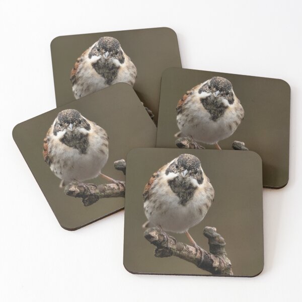 Item preview, Male reed bunting designed and sold by JLP ARTWORKS.