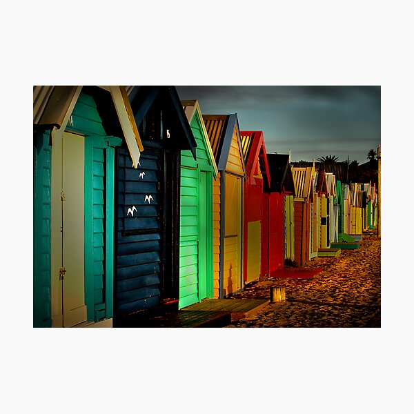 Brighton Beach Houses Photographic Print