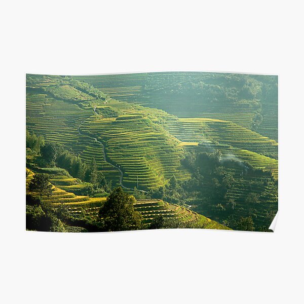 Terraced Hillsides Poster