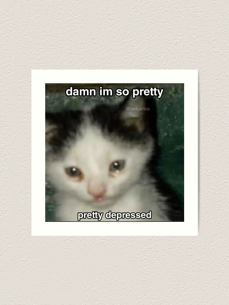 Damn I'M So Pretty, Pretty Depressed | Kawaii Cat