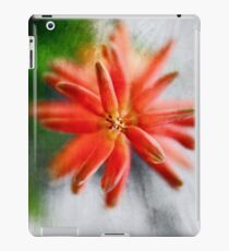 Green and Orange iPad Case/Skin