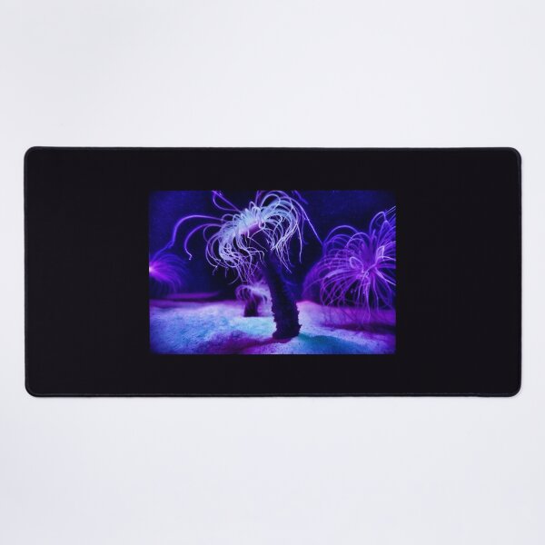 Item preview, Sea Anemone designed and sold by PipsyJ Photography.