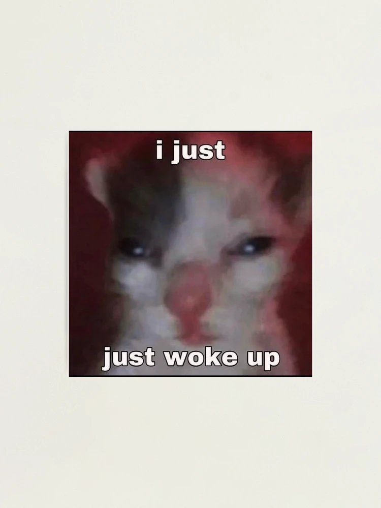 i just woke up  kawaii sleeping cat Photographic Print for Sale