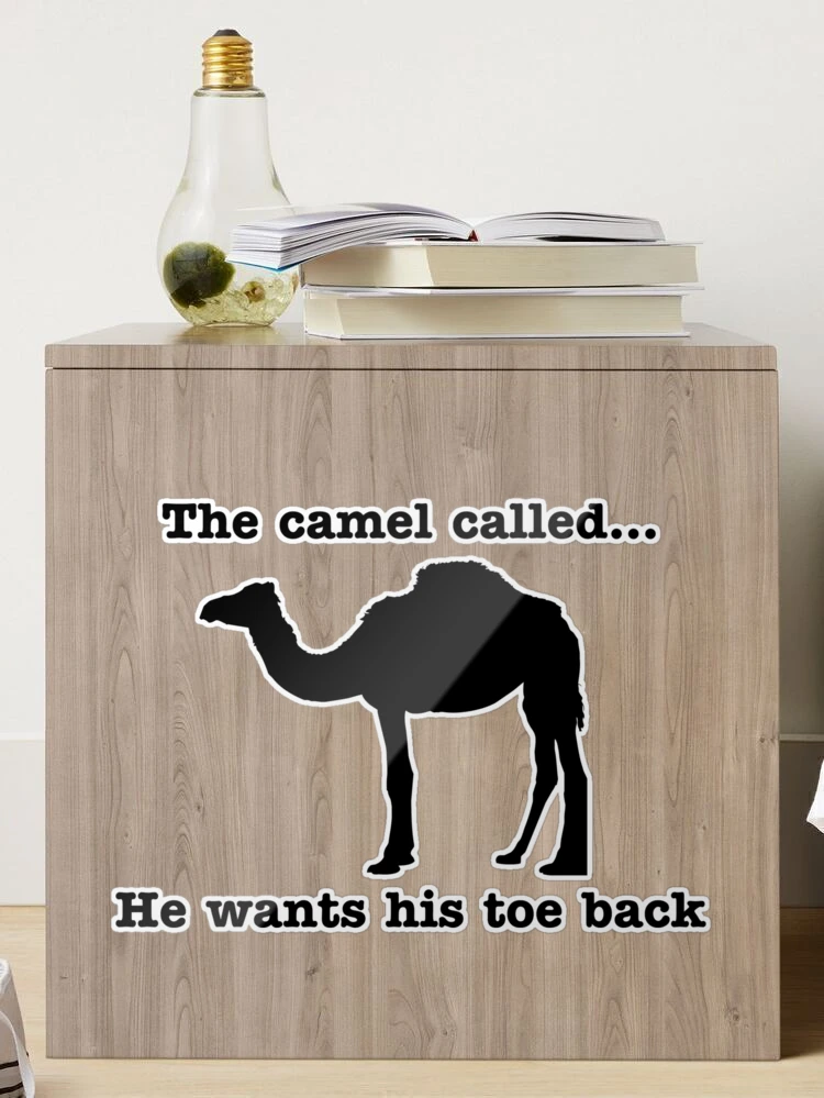My camel toe is here! Hello : r/cameltoeoriginals