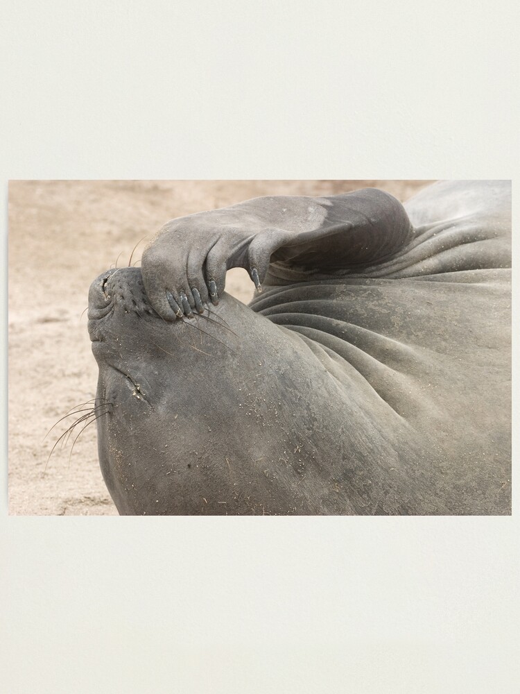 Alternate view of Deep Thought Photographic Print