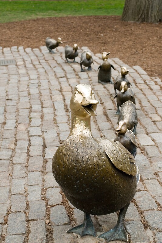 make-way-for-ducklings-by-craig-goldsmith-redbubble