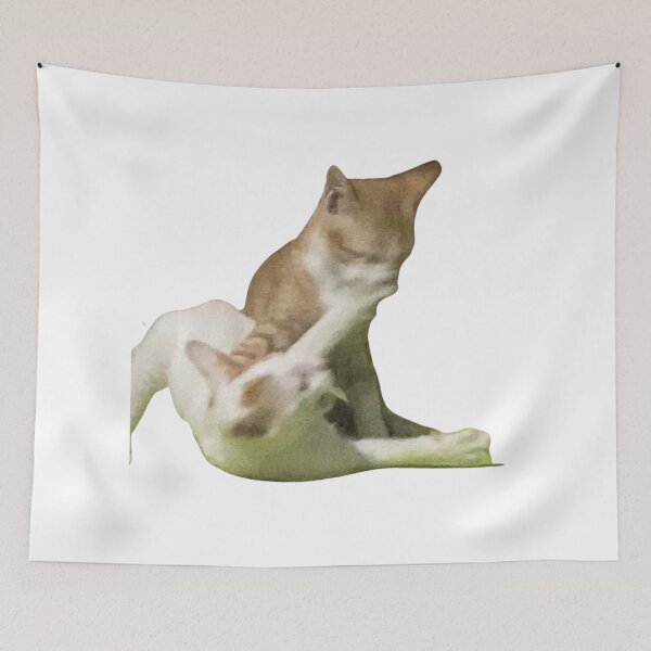Item preview, fighting cat | kawaii cat designed and sold by jassine11.