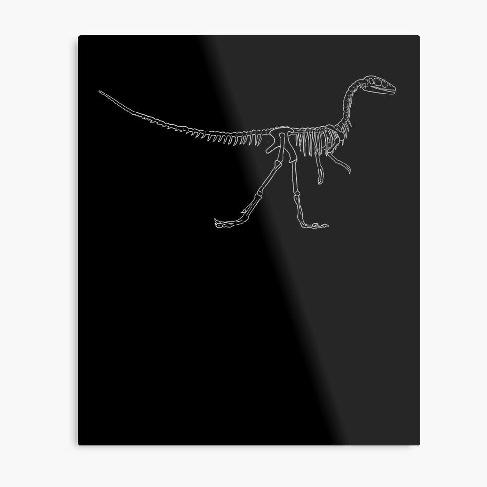 compsognathus fossil for sale