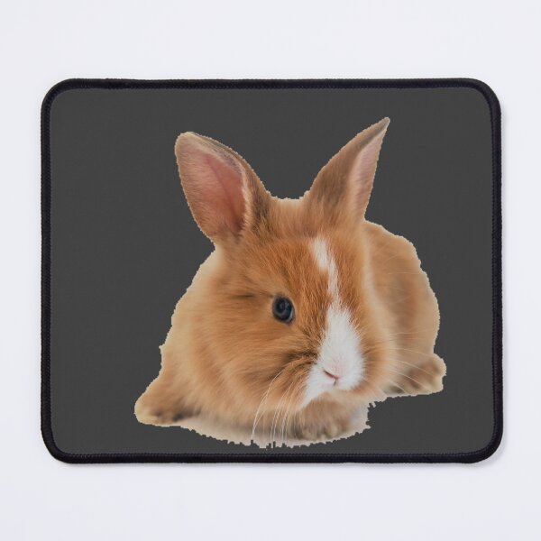 Item preview, Breeding rabbits designed and sold by T-ShirtIn85.