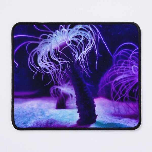 Item preview, Sea Anemone designed and sold by PipsyJ Photography.