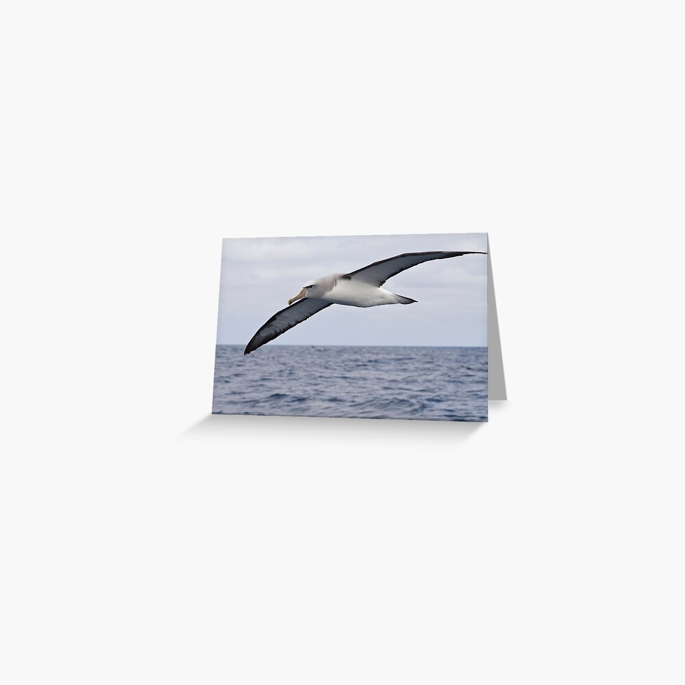 Item preview, Greeting Card designed and sold by DavidBurren.