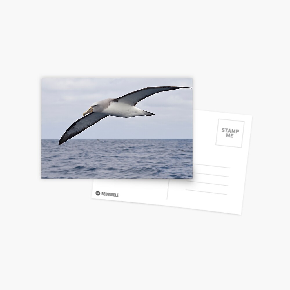 Item preview, Postcard designed and sold by DavidBurren.