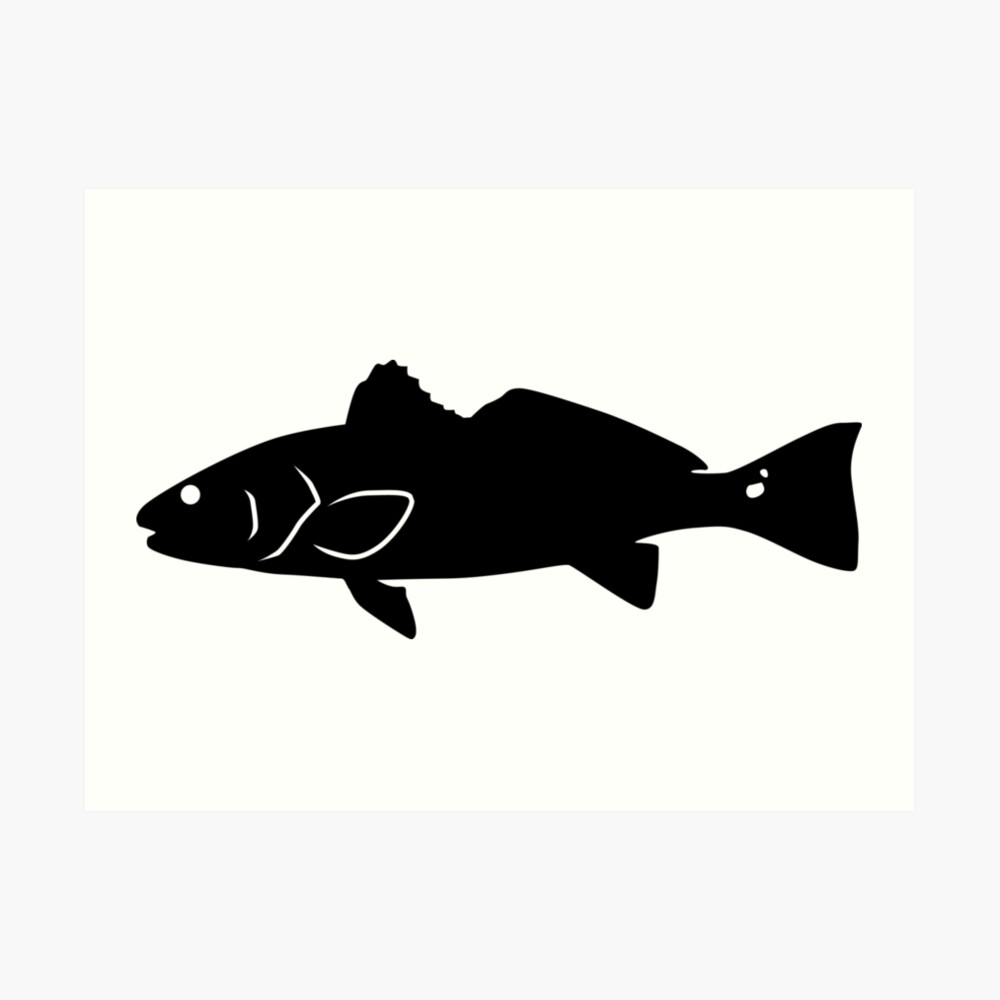 "Redfish Fish Silhouette (Black)" Art Print by SandpiperDesign Redbubble