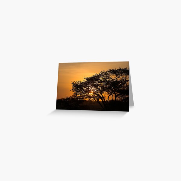 Serengeti Sunrise Greeting Card