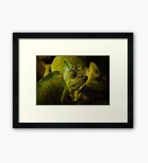 Funny pair of the chameleons. Amusing animal glance Framed Print