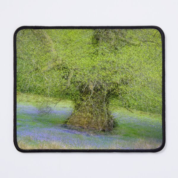 Item preview, Sweet Chestnut tree and Bluebells designed and sold by Simon Baylis.
