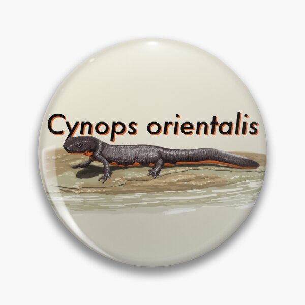 Item preview, Oriental Fire-bellied Newt designed and sold by LeoXiang.