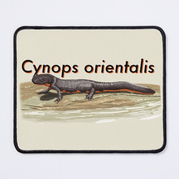 Item preview, Oriental Fire-bellied Newt designed and sold by LeoXiang.