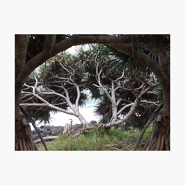 Item preview, Pandanus on Pandanus designed and sold by Magicath.